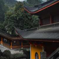 法光寺 🏯靈性與寧靜🙏✨
