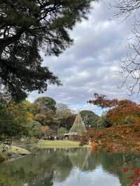 【六義園】　東京の隠れた紅葉🍁スポット