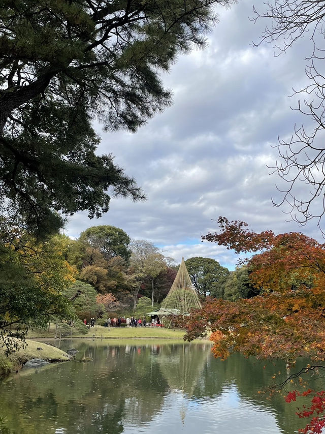 【六義園】　東京の隠れた紅葉🍁スポット