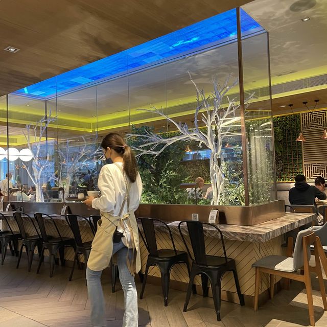沙田高質Beans the greenhouse🍽️🍔🍝
