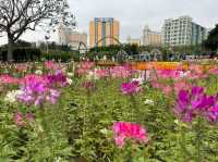 WINTER FRESH at Taipa Houses-Museum 🌸