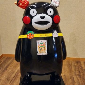 아소산에서 풍경에감탄하자 구마모토에 심장