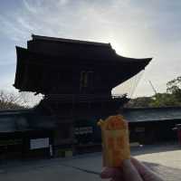 【福岡　箱崎】筥崎宮で銭洗い御神水