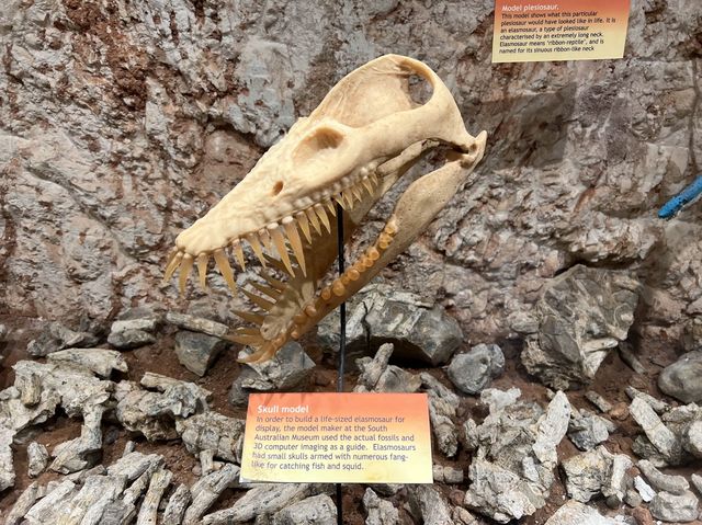 澳洲｜南澳州｜Coober Pedy出產寶石的地方