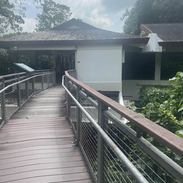 Imbiah Bridge in Sentosa