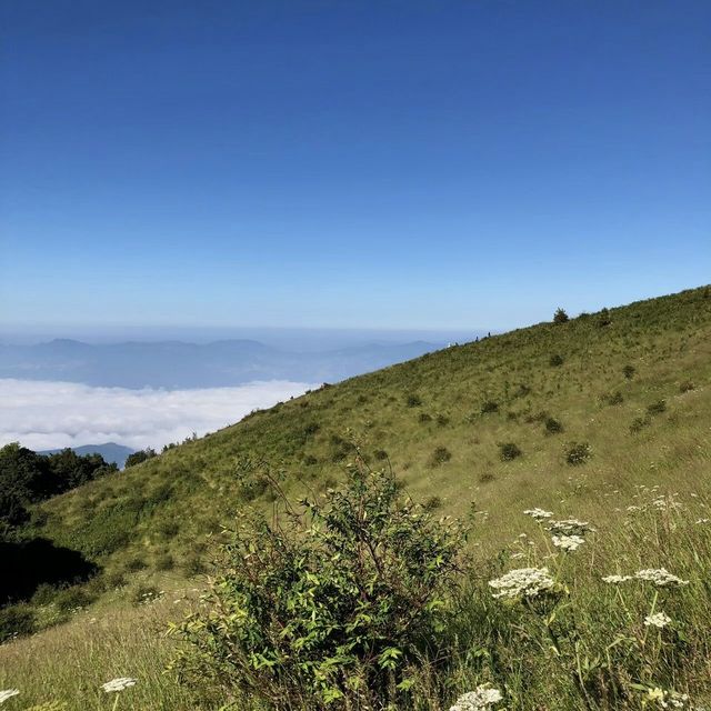 ดอยอินทนนท์⛰️🍃
