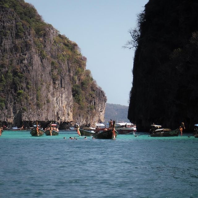 เกาะพีพี อ่าวมาหย่า-ปิเละลากูน-เกาะไผ่ จ.กระบี่  🌊