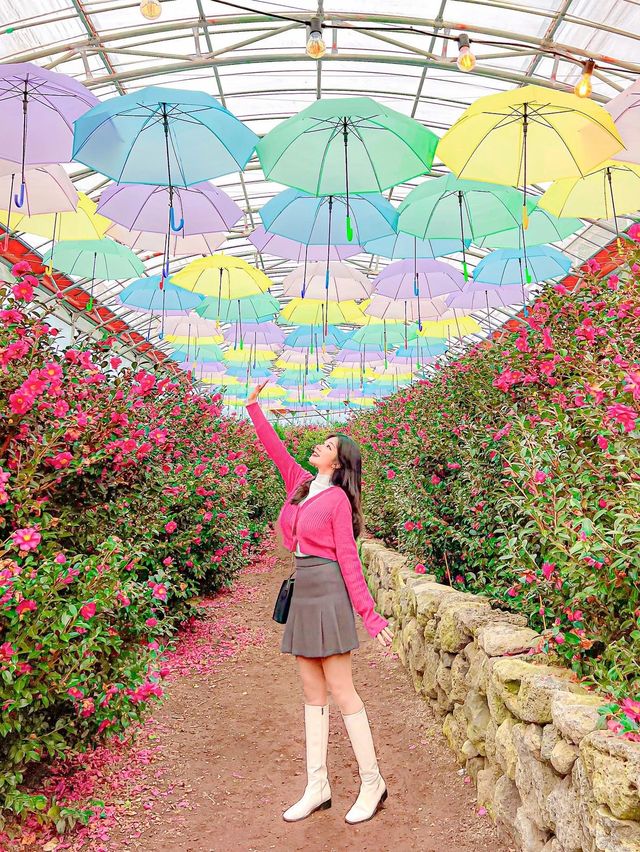 사계절 내내 원하는 꽃 맘껏 볼 수 있는 제주 필수 코스🌺
