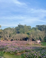 สวนหลวง ร.9 สวนสาธารณะใน กทม. 