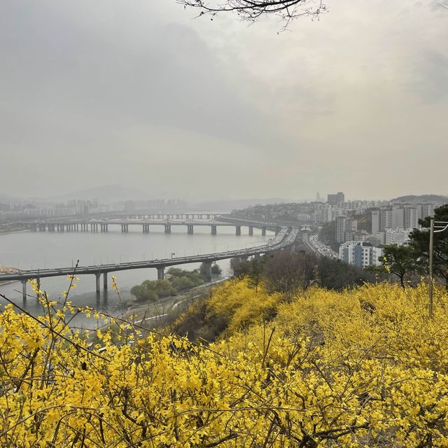 뚝섬 데이트 코스 추천