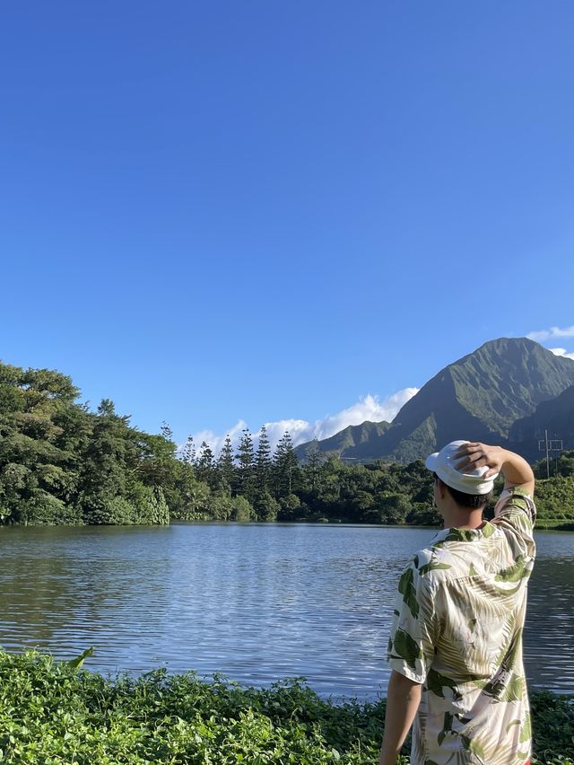 하와이 최대 수목원 호오말루히아 보태니컬 가든🌳🍃
