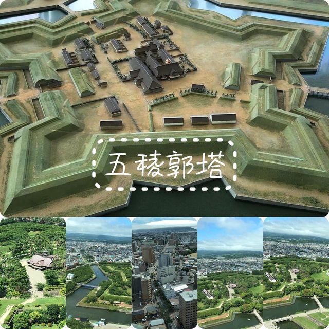 北海道大人氣景點❤️五稜郭塔😌高空遙望星星公園😍超令市景