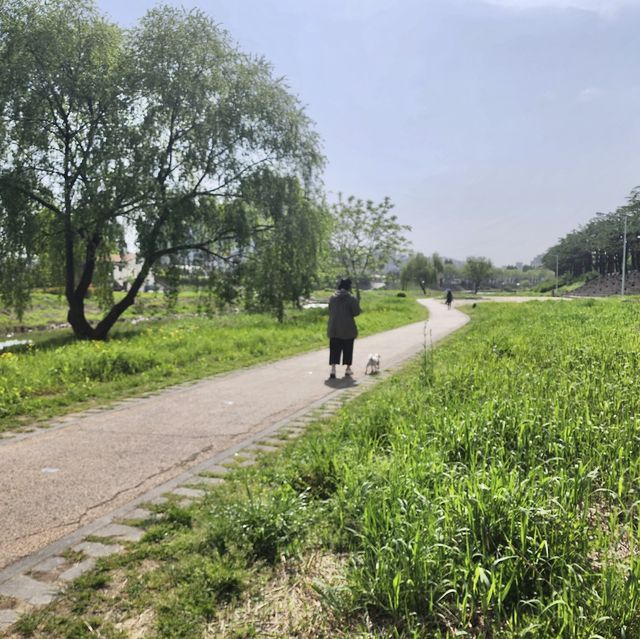 전주여행의 힐링 전주천과 청연루🌱