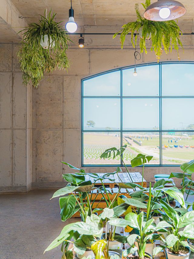 🌸꽃의 성지가 될 제주 여행지 [보롬왓]🌿