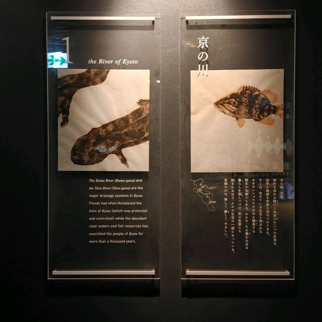 オオサンショウウオを堪能できる　京都水族館