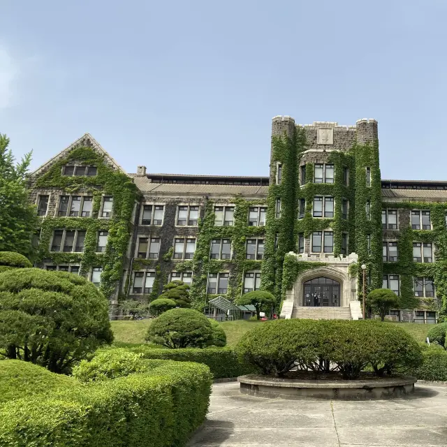 首爾景點打卡～樹藤包圍得最美延世大學