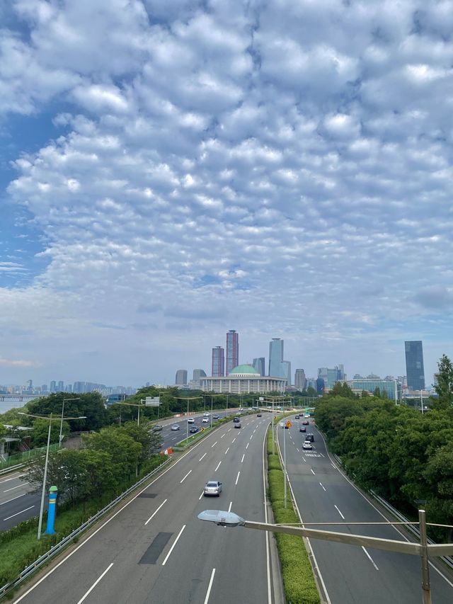 서울에서 여유로움을 느낄 수 있는 양화한강공원🚲🖤