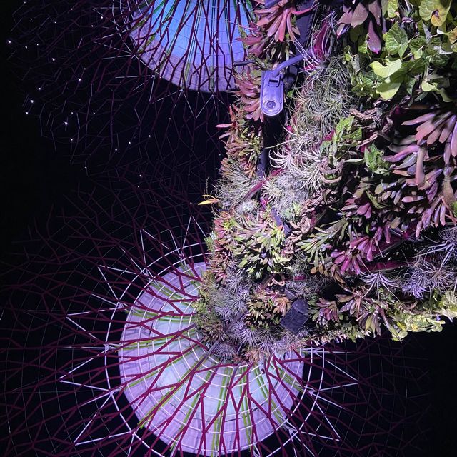 A Botanical Wonderland and Visual Extravaganz