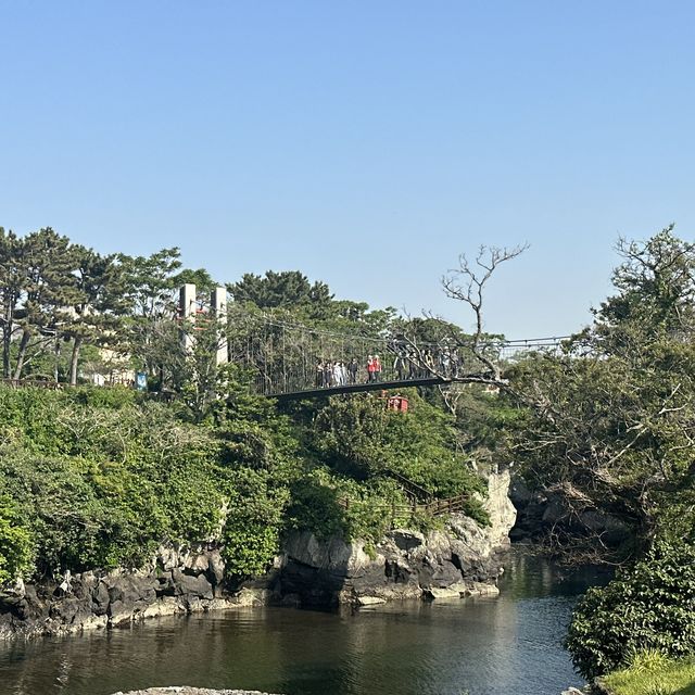 자연이 만든 신비 🌿 제주 용연계곡
