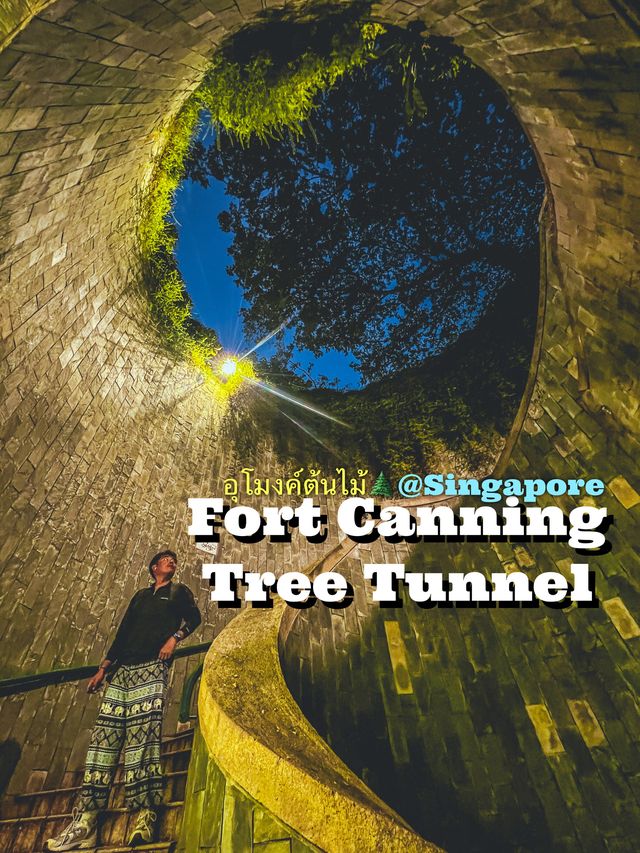 จุดถ่ายรูปยอดฮิต ปักหมุด Fort Canning Tree Tunnel