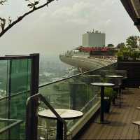 🇸🇬奢華酒店-Marina Bay Sands