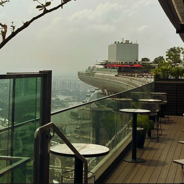 🇸🇬奢華酒店-Marina Bay Sands