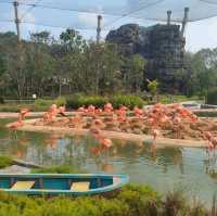 Birdie moment @ bird paradise 