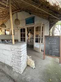 Budget stay@Bali Brother’s Guesthouse