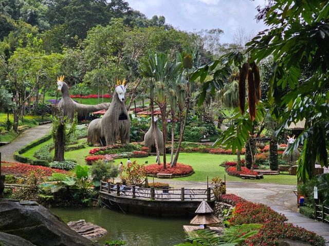 ขึ้นดอยตุง ชมดอกไม้บาน ที่สวนแม่ฟ้าหลวง จ.เชียงราย