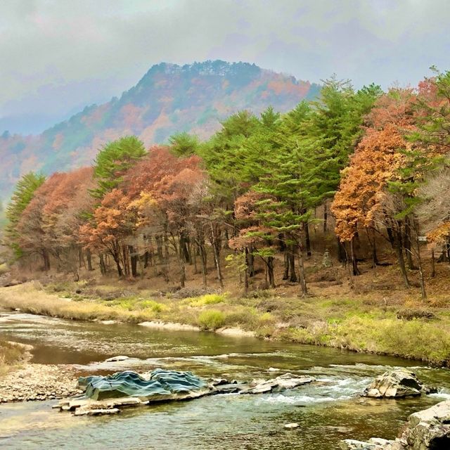 강릉 [노추산 모정탑길]에 단풍 한스푼🍁