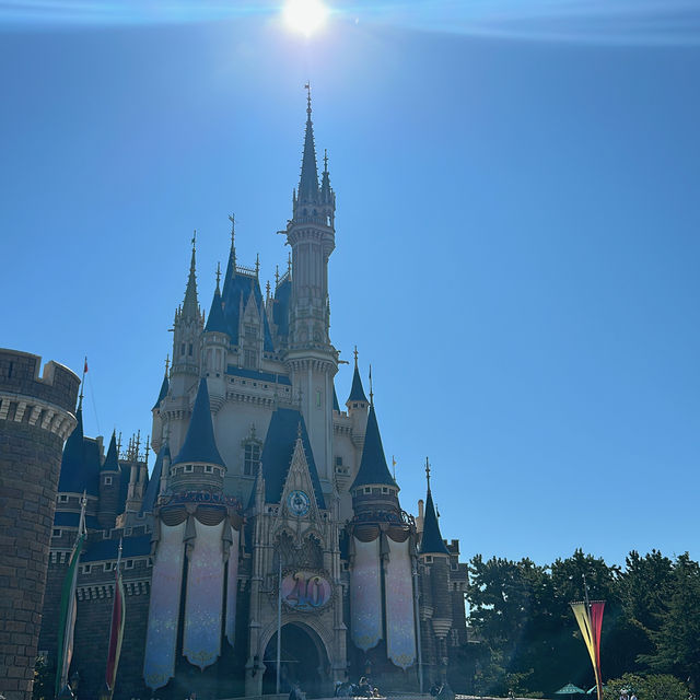 ディズニーランド