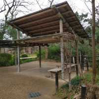 入場料 大人500円！大満足 天王寺動物園