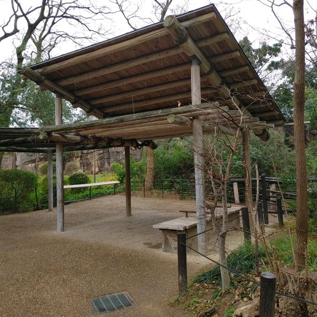 入場料 大人500円！大満足 天王寺動物園