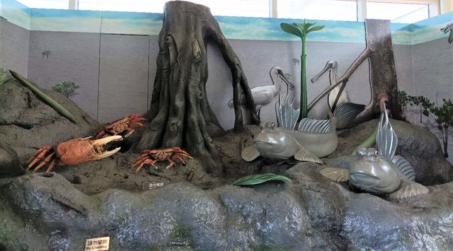 Hong Kong Wetland Park - Visitor Centre