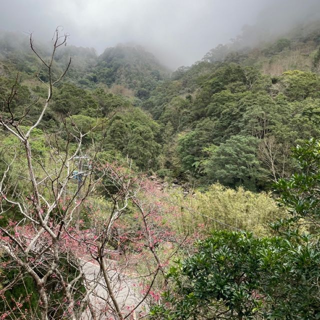 鴛鴦谷休閒養殖農場