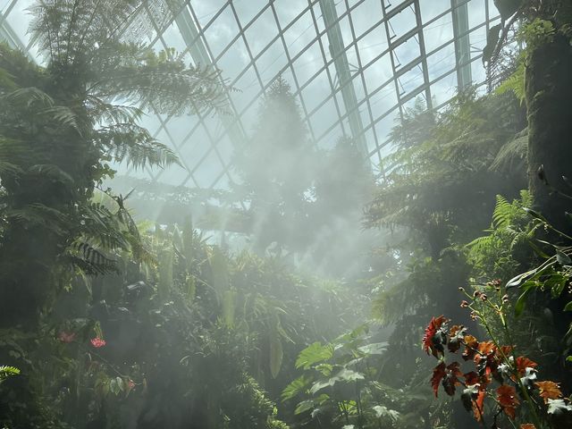 Avatar the Experience at Cloud Forest