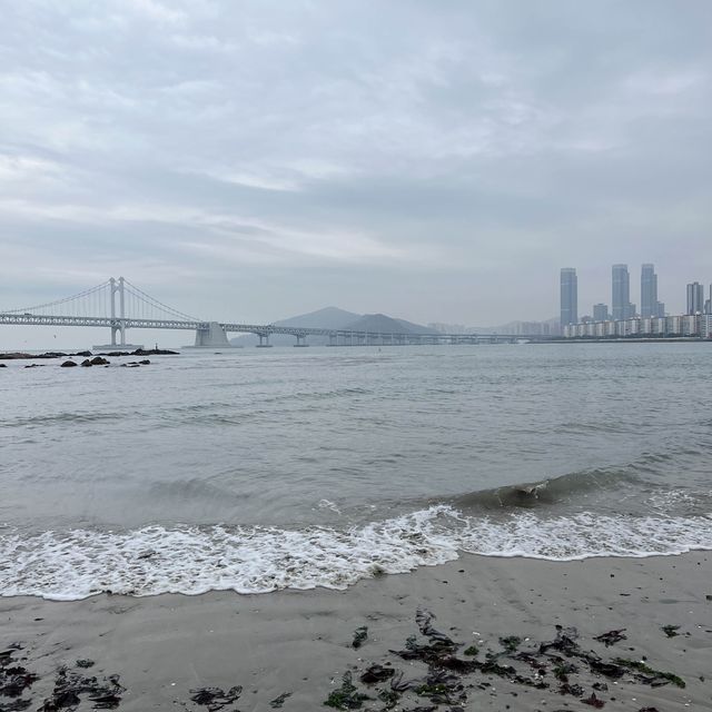 부산 광안리 여행! 풀코스로 친구 대접하기😆