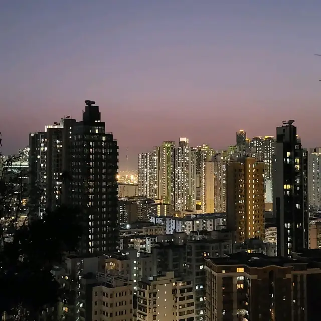 登嘉頓山睇市區夜景🌆