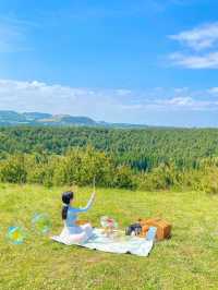 제주 동화 속 그 잡채 피크닉스팟🧺🌿