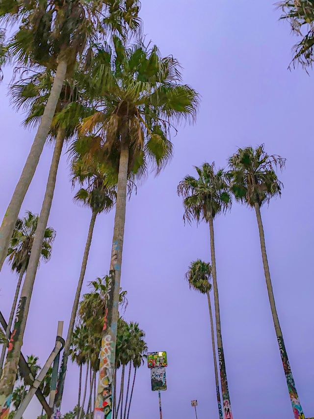 LA에서 힙한 사람들 집합소인 베니스비치🌴