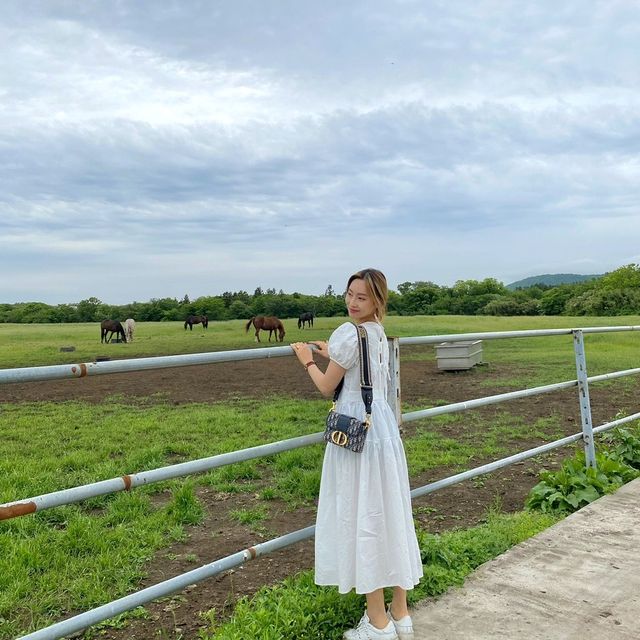 🍊제주 이색숙소 조랑말뷰 숙소 포니제주🐴