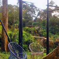 A Stunning 2 acres cafe in Balik Pulau!