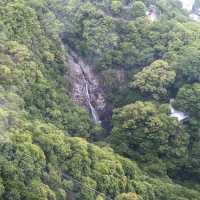 【神戸を山頂から一望】神戸布引ハーブ園