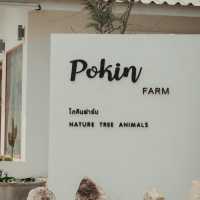 Pokin Farm Chiang Rai  โภคิน ฟาร์ม เชียงราย