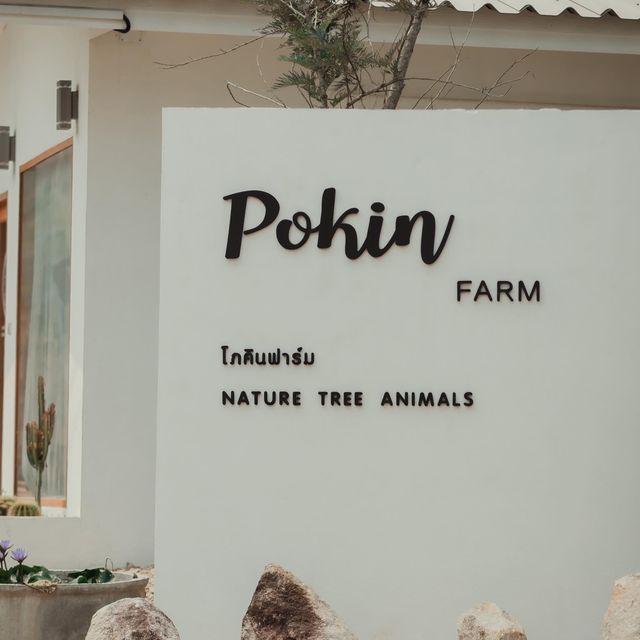 Pokin Farm Chiang Rai  โภคิน ฟาร์ม เชียงราย