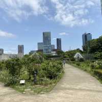 一年四季都有唔同花睇嘅芝公園