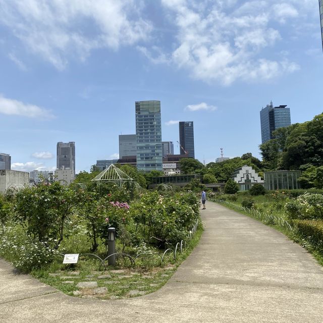 一年四季都有唔同花睇嘅芝公園