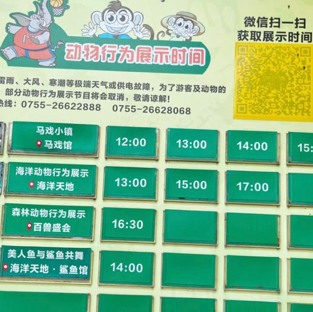 🦁 深圳野生動物園 | 親子好去處 🐼