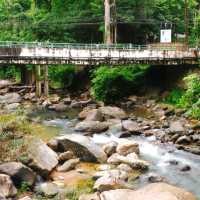 🌿 กรีนซีซั่นแบบนี้ พาไปอบอุ่นร่างกาย 🏞