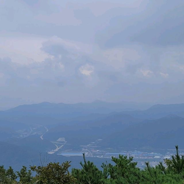 두근두근여름휴가 대전 식장산 정상